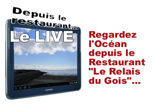video_gois